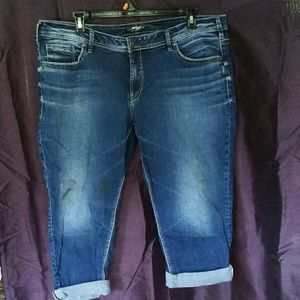 Silver brand Sam Capri's